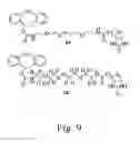 Fig. 10 - ALKYNES AND METHODS OF REACTING ALKYNES WITH 1,3-DIPOLE-FUNCTIONAL COMPOUNDS