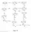 Fig. 15 - ALKYNES AND METHODS OF REACTING ALKYNES WITH 1,3-DIPOLE-FUNCTIONAL COMPOUNDS
