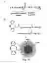 Fig. 21 - ALKYNES AND METHODS OF REACTING ALKYNES WITH 1,3-DIPOLE-FUNCTIONAL COMPOUNDS