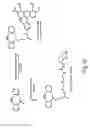 Fig. 22 - ALKYNES AND METHODS OF REACTING ALKYNES WITH 1,3-DIPOLE-FUNCTIONAL COMPOUNDS