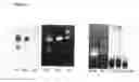 Fig. 08 - Labelling Strategies for the Sensitive Detection of Analytes