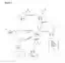 Fig. 02 - Nicotyl riboside compositions and methods of use