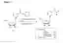 Fig. 06 - Nicotyl riboside compositions and methods of use