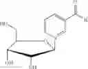 Fig. 22 - Nicotyl riboside compositions and methods of use