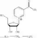 Fig. 37 - Nicotyl riboside compositions and methods of use