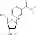 Fig. 40 - Nicotyl riboside compositions and methods of use