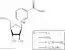 Fig. 41 - Nicotyl riboside compositions and methods of use