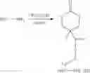Fig. 29 - Polymers bearing pendant pentafluorophenyl ester groups, and methods of synthesis and functionalization thereof