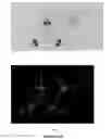Fig. 06 - Open metal organic frameworks with exceptional surface area and high gas storage capacity