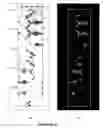Fig. 10 - Open metal organic frameworks with exceptional surface area and high gas storage capacity