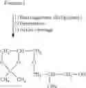 Fig. 13 - PHOSPHATIDYL OLIGOGLYCEROLS