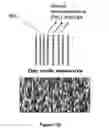 Fig. 103 - Defect engineering in metal oxides via surfaces