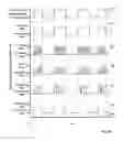 Fig. 11 - Method and system for reversible chemical modulation of neural activity