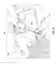 Fig. 19 - METHOD FOR SYMPATHETIC REBALANCING OF PATIENT