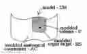 Fig. 01 - Radioactive-emission-measurement optimization to specific body structures