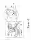 Fig. 48 - Radioactive-emission-measurement optimization to specific body structures
