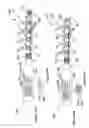 Fig. 53 - Radioactive-emission-measurement optimization to specific body structures