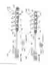 Fig. 59 - Radioactive-emission-measurement optimization to specific body structures