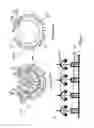 Fig. 84 - Radioactive-emission-measurement optimization to specific body structures