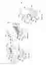 Fig. 89 - Radioactive-emission-measurement optimization to specific body structures