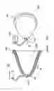 Fig. 98 - Radioactive-emission-measurement optimization to specific body structures