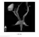 Fig. 20 - Method of rapidly visualizing essential neural pathways