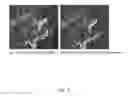 Fig. 07 - METHOD OF CT ANGIOGRAPHY TO VISUALIZE TRANS-OSSEOUS BLOOD VESSELS