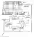 Fig. 01 - Coupling human neural response with computer pattern analysis for single-event detection of significant brain responses for task-relevant stimuli