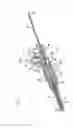 Fig. 03 - Blood collection device