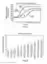 Fig. 02 - Hemostatic textile