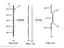Fig. 02 - Shape and pressure adjustable dressing