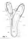 Fig. 05 - SCROTAL SUPPORT GARMENT