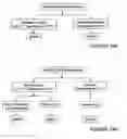 Fig. 09 - Methods for inhibiting renal nerve activity