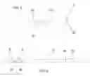 Fig. 07 - Intramedullary nail with shape memory elements for elongated bones