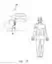 Fig. 20 - Method and device for ameliorating joint conditions and diseases