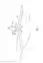 Fig. 06 - CELLULOSE SUTURE AND METHOD FOR GRADUAL VESSEL OCCLUSION USING THE SAME