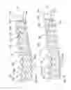 Fig. 17 - Tissue Removal Apparatus and Method of Manufacturing Same