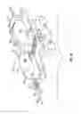 Fig. 09 - Tissue penetration device