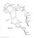 Fig. 38 - Lung volume reduction devices, methods, and systems