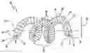 Fig. 01 - DELIVERY OF AN EMBOLIZATION COIL WITH AN ATTACHER