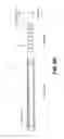 Fig. 13 - Method of accessing the left common carotid artery