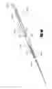 Fig. 56 - Method of accessing the left common carotid artery