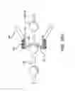 Fig. 24 - Left atrial appendage occlusive devices