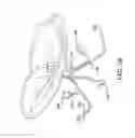 Fig. 41 - Left atrial appendage occlusive devices