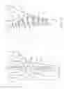 Fig. 37 - System for treating bone fractures