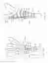 Fig. 41 - System for treating bone fractures