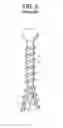 Fig. 04 - Expansion screw bone tamp