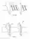 Fig. 16 - Bone screw and method for manufacturing the same