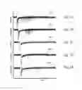 Fig. 08 - Extended pain relief via high frequency spinal cord modulation, and associated systems and methods