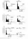 Fig. 09 - Extended pain relief via high frequency spinal cord modulation, and associated systems and methods